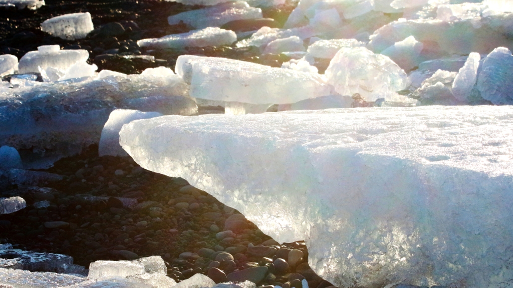 Photo of chunks of ice on a black pebble beach, backlit by sunshine with some rainbow refraction going on.